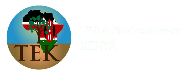 TEAMEnviroment Kenya