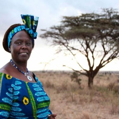 Planting 10,000 Trees During Prof. Wangari Maathai’s 83rd Posthumous Birthday in Nyeri County