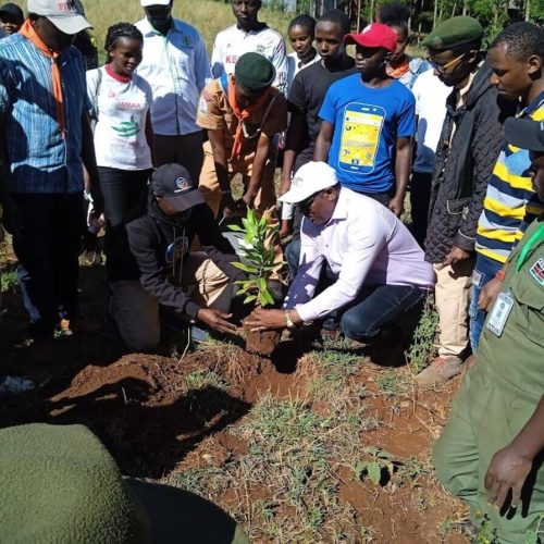 Success & Happy Endings: 10,000 Trees Planted in Nyeri County Conservation Mission